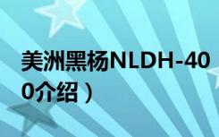 美洲黑杨NLDH-40（关于美洲黑杨NLDH-40介绍）