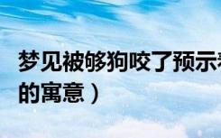 梦见被够狗咬了预示着什么（梦见被够狗咬了的寓意）