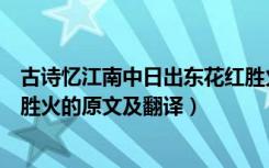 古诗忆江南中日出东花红胜火的下一句是什么（日出东花红胜火的原文及翻译）