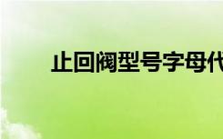 止回阀型号字母代表（止回阀型号）