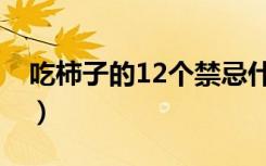 吃柿子的12个禁忌什么（吃柿子的12个禁忌）