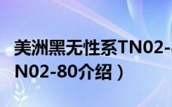 美洲黑无性系TN02-80（关于美洲黑无性系TN02-80介绍）