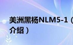 美洲黑杨NLM5-1（关于美洲黑杨NLM5-1介绍）