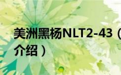 美洲黑杨NLT2-43（关于美洲黑杨NLT2-43介绍）