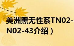 美洲黑无性系TN02-43（关于美洲黑无性系TN02-43介绍）