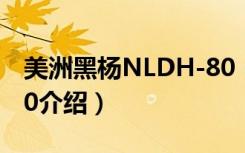 美洲黑杨NLDH-80（关于美洲黑杨NLDH-80介绍）