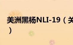 美洲黑杨NLI-19（关于美洲黑杨NLI-19介绍）