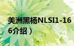 美洲黑杨NLSI1-16（关于美洲黑杨NLSI1-16介绍）