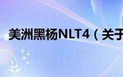 美洲黑杨NLT4（关于美洲黑杨NLT4介绍）