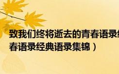 致我们终将逝去的青春语录经典语录（致我们终将逝去的青春语录经典语录集锦）