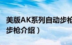 美版AK系列自动步枪（关于美版AK系列自动步枪介绍）