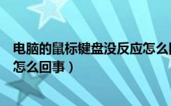 电脑的鼠标键盘没反应怎么回事（电脑的鼠标键盘没反应是怎么回事）