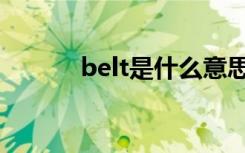 belt是什么意思（belt的意思）