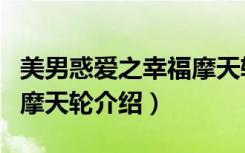 美男惑爱之幸福摩天轮（关于美男惑爱之幸福摩天轮介绍）