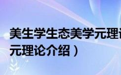 美生学生态美学元理论（关于美生学生态美学元理论介绍）