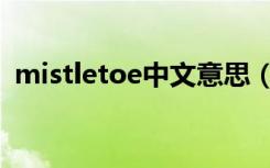 mistletoe中文意思（mistletoe什么意思）