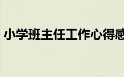 小学班主任工作心得感悟（小学班主任工作）