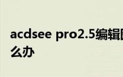 acdsee pro2.5编辑图片左侧菜单栏不见了怎么办