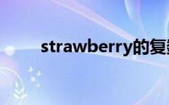 strawberry的复数形式是什么意思