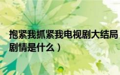 抱紧我抓紧我电视剧大结局（陈亦度、厉薇薇两个主角最终剧情是什么）