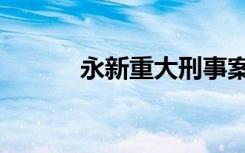 永新重大刑事案件（永新事件）