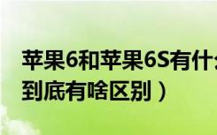 苹果6和苹果6S有什么区别（苹果6和苹果6S到底有啥区别）