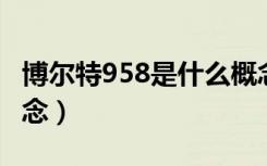 博尔特958是什么概念（博尔特9 58是什么概念）