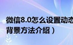 微信8.0怎么设置动态背景（微信8.0设置动态背景方法介绍）