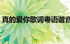 真的爱你歌词粤语谐音（真的爱你歌曲介绍）