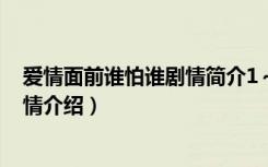 爱情面前谁怕谁剧情简介1～36集（爱情面前谁怕谁分集剧情介绍）