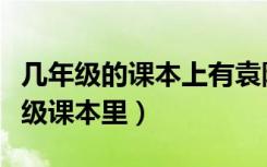 几年级的课本上有袁隆平（袁隆平在小学几年级课本里）