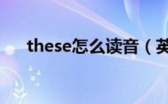 these怎么读音（英语these怎么读音）