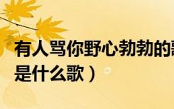 有人骂你野心勃勃的歌名（有人骂你野心勃勃是什么歌）