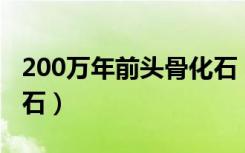 200万年前头骨化石（16000年前的人头骨化石）