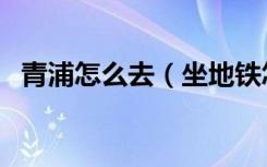 青浦怎么去（坐地铁怎么从上海站去青浦）