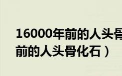 16000年前的人头骨化石长这样（16000年前的人头骨化石）