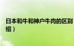 日本和牛和神户牛肉的区别（日本和牛和神户牛肉的区别介绍）