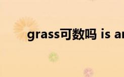 grass可数吗 is are（grass可数吗）