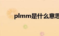 plmm是什么意思（plmm的意思）