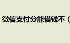 微信支付分能借钱不（微信支付分能借钱吗）