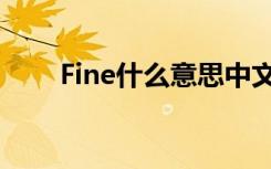 Fine什么意思中文（Fine怎么造句）