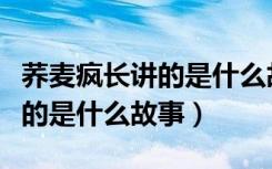 荞麦疯长讲的是什么故事马思纯（荞麦疯长讲的是什么故事）