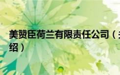 美赞臣荷兰有限责任公司（关于美赞臣荷兰有限责任公司介绍）