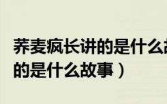 荞麦疯长讲的是什么故事马思纯（荞麦疯长讲的是什么故事）