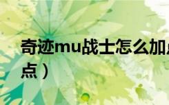 奇迹mu战士怎么加点（奇迹mu战士如何加点）