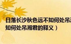 日落长沙秋色远不知何处吊湘君的意思（日落长沙秋色远不知何处吊湘君的释义）