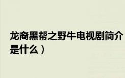 龙裔黑帮之野牛电视剧简介（电视剧龙裔黑帮之野牛讲述的是什么）