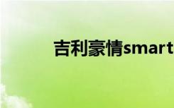 吉利豪情smart（吉利豪情1 3）