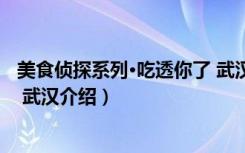 美食侦探系列·吃透你了 武汉（关于美食侦探系列·吃透你了 武汉介绍）