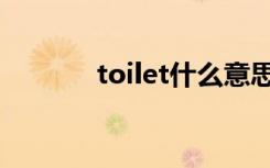 toilet什么意思（toilet翻译）